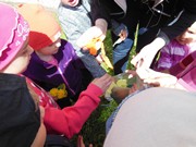 Stavíme Májku ve školce